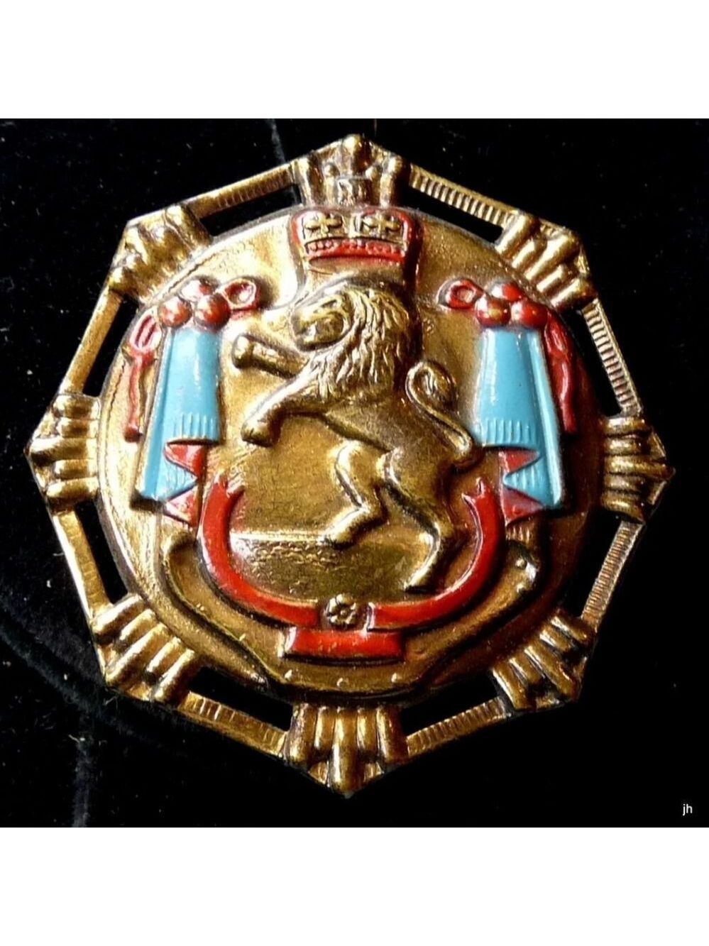 Vintage Lion Crest Coat of Arms Brass and Enamel Heraldic Brooch